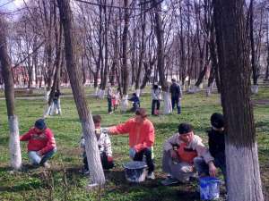 Acţiuni de ecologizare a comunei Dumbrăveni