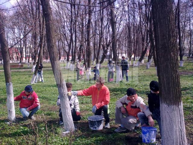 Acţiuni de ecologizare a comunei Dumbrăveni