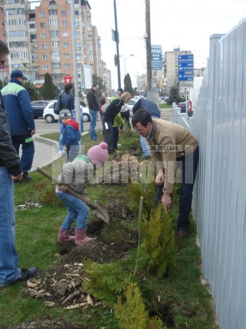 300 de copăcei cu nume de copii, plantaţi la staţiile OMV din Suceava