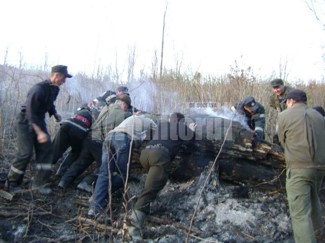 Au ars două hectare de vegetaţie uscată, un hectar fond forestier privat şi două hectare fond forestier de stat