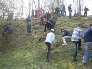 Un hectar de teren aparţinând Primăriei Boroaia a fost împădurit cu puieţi de salcâm