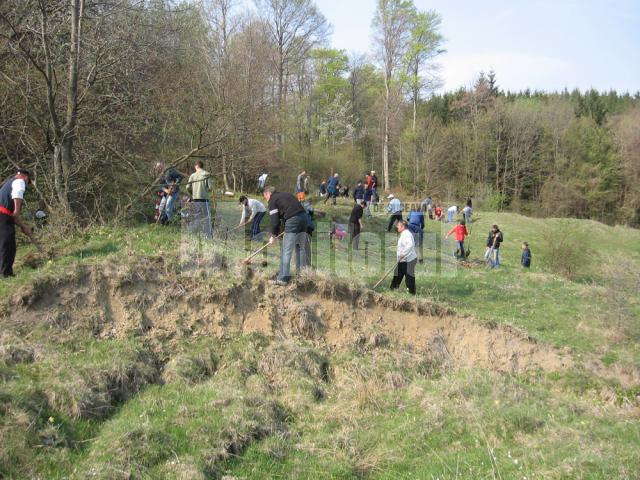 Un hectar de teren aparţinând Primăriei Boroaia a fost împădurit cu puieţi de salcâm