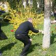 Liderii PSD Suceava au participat la ecologizarea parcului central