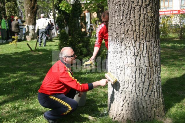 Social-democraţii au văruit copacii şi au curăţat spaţiile verzi