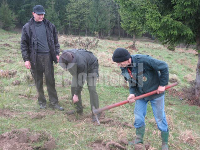 În comuna Bogdăneşti a fost împădurită o suprafaţă de un hectar de teren degradat