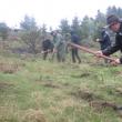 În comuna Bogdăneşti a fost împădurită o suprafaţă de un hectar de teren degradat