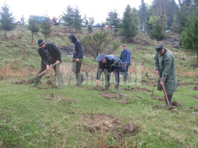 În comuna Bogdăneşti a fost împădurită o suprafaţă de un hectar de teren degradat