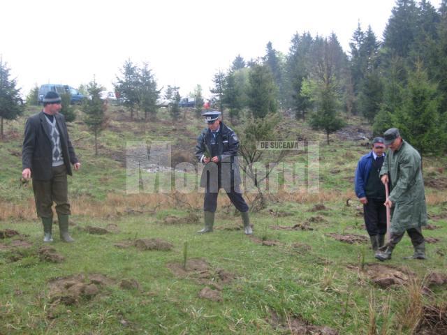 În comuna Bogdăneşti a fost împădurită o suprafaţă de un hectar de teren degradat