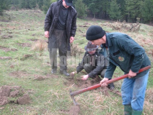 În comuna Bogdăneşti a fost împădurită o suprafaţă de un hectar de teren degradat