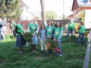 Elevii din Volovăţ au plantat 200 de brazi în curtea şcolii