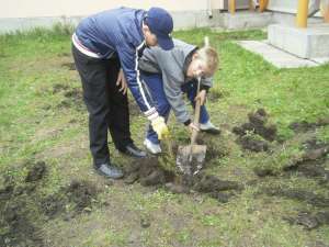 Elevii de la „Miron Costin” au plantat 136 de puieţi de brad
