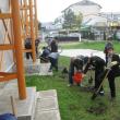 Elevii de la „Miron Costin” au plantat 136 de puieţi de brad