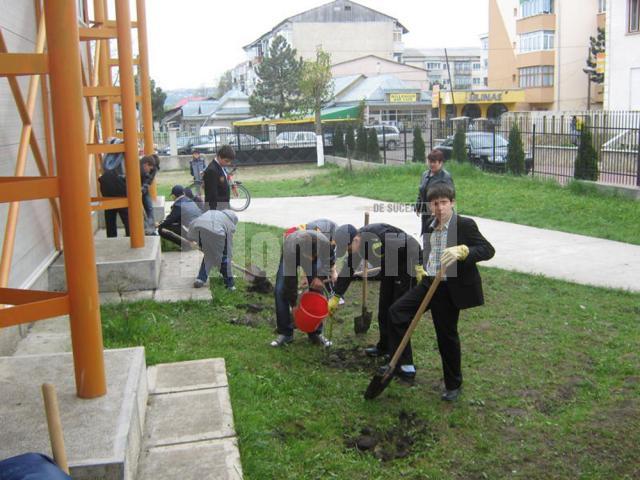 Elevii de la „Miron Costin” au plantat 136 de puieţi de brad