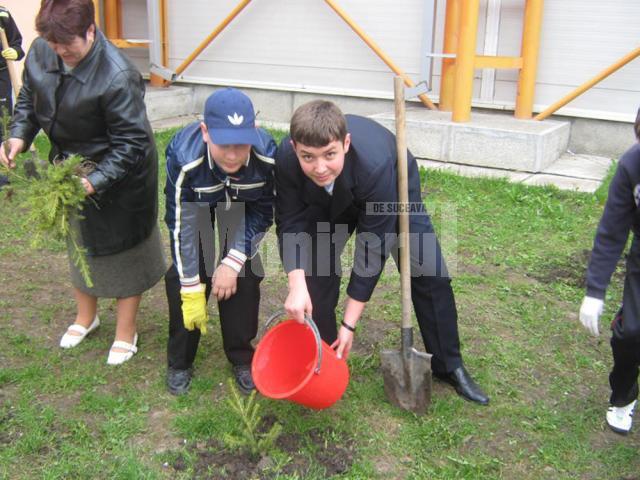 Elevii de la „Miron Costin” au plantat 136 de puieţi de brad