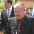 Cardinalul Stanisław Dziwisz