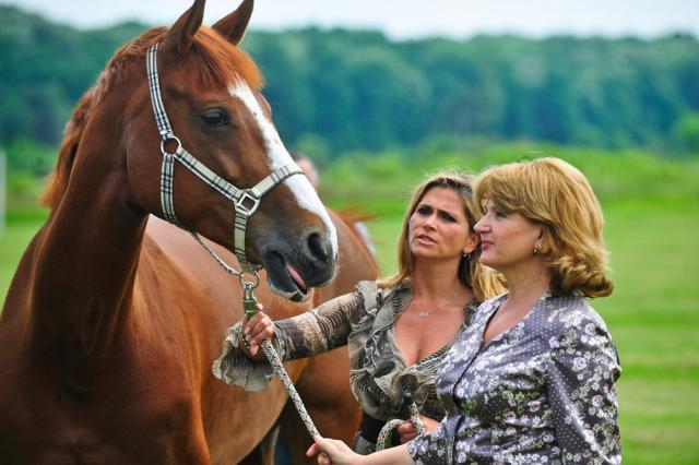 Maria Basescu admiră un cal la petrecerea aniversară de la Potigrafu, Foto: MEDIAFAX