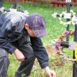 Comemorare la Cimitirul Eroilor de pe Dealul Buzău din comuna Vama