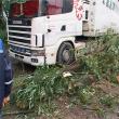 Un copac s-a rupt şi a căzut peste un camion staţionat într-o parcare şi peste un microbuz
