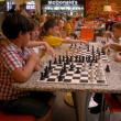 Concursul de şah “Cupa Grădiniţelor”
