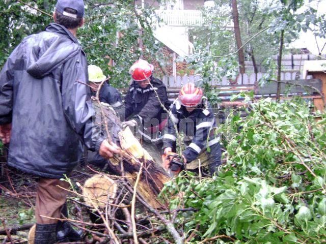 Pompierii trimişi să taie copacii căzuţi peste case şi drumuri