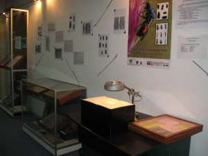 Expoziţia Colecţia Ştefan Negru