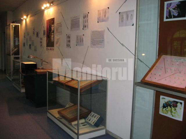 Expoziţia Colecţia Ştefan Negru