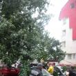 Pe Mărăşeşti, un copac a căzut peste două autoturisme