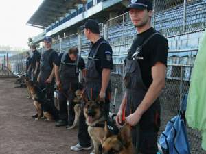 25 de câini poliţişti sunt pregătiţi la orice oră să fie trimişi după infractori