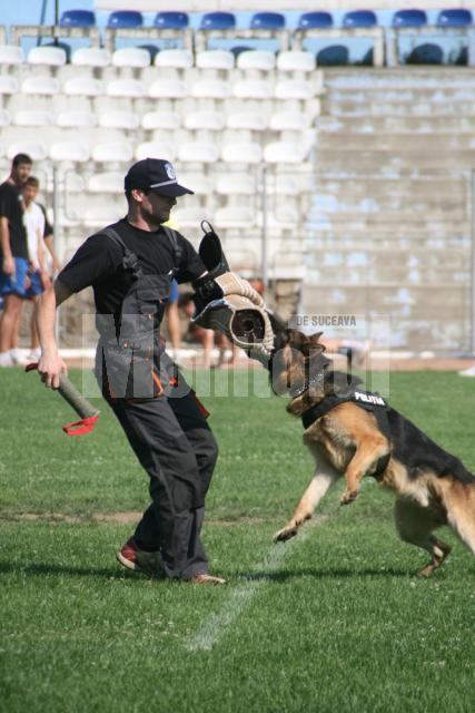 Luke în timpul antrenamentului