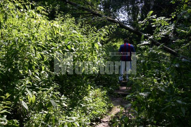 Urzicile si bălăriile care străjuiesc aleile au câte doi metri înălţime