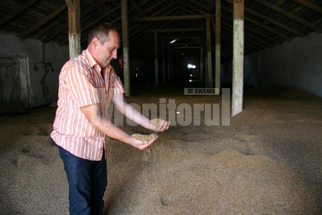Gheorghe Abogătoaie spune că este mulţumit de producţia de grâu din acest an, iar proprietarii de terenuri vor primi câte 500 de kg de cereale la hectar