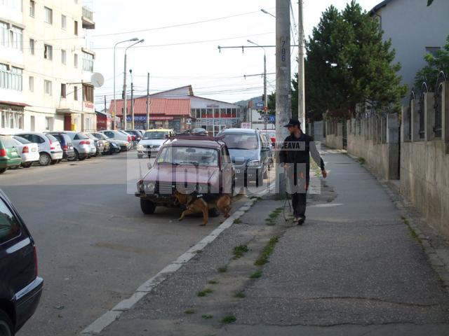 Câinele de urmă al poliţiei a fost cel care a dat peste cutia cu bani aruncată pe terenul viran din spatele bisericii