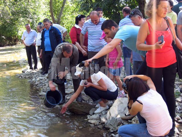 Pârâul Humor a fost repopulat cu 1.000 de păstrăvi