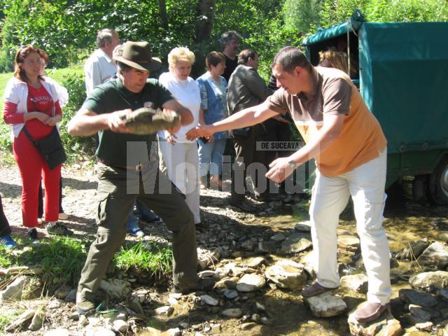 Pârâul Humor a fost repopulat cu 1.000 de păstrăvi