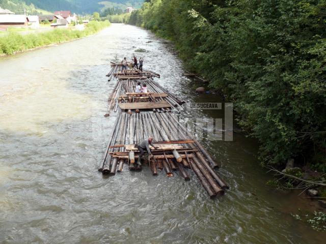 Cu pluta pe Bistriţa Aurie