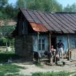 Comunitatea de ţigani din cătunul Tâmpoceni, comuna Păltinoasa