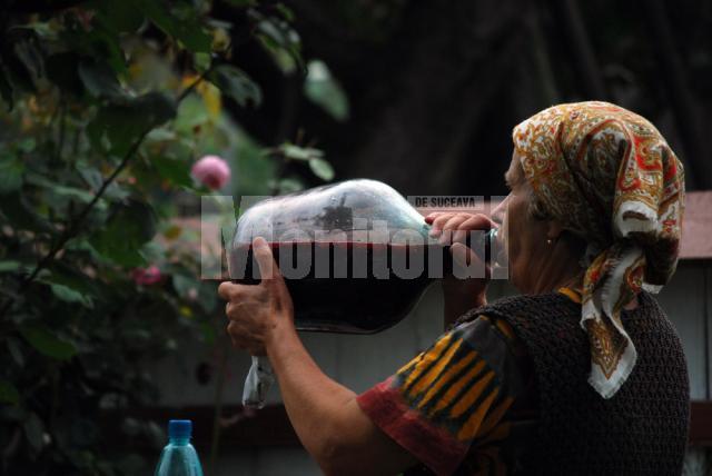 Fotografie realizată de Dana Anton premiul pentru aprecierea juriului