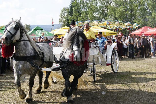 Festivalul Fructelor de Pădure, la Coşna