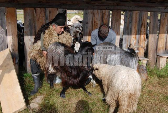 Satul Botoş din comuna Ciocăneşti a fost în sărbătoare