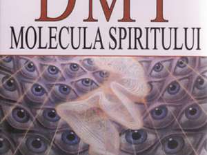 Rick Strassman: „DMT - molecula spiritului”