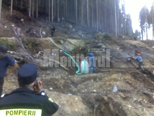 Zeci de pompieri şi silvicultori au intervenit pentru prevenirea unui incendiu de pădure