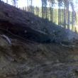 Zeci de cadre ale ISU Suceava şi Bistriţa-Năsăud au intervenit, sâmbătă, pentru stingerea unui incendiu izbucnit pe mai multe hectare cu resturi de exploatare forestieră