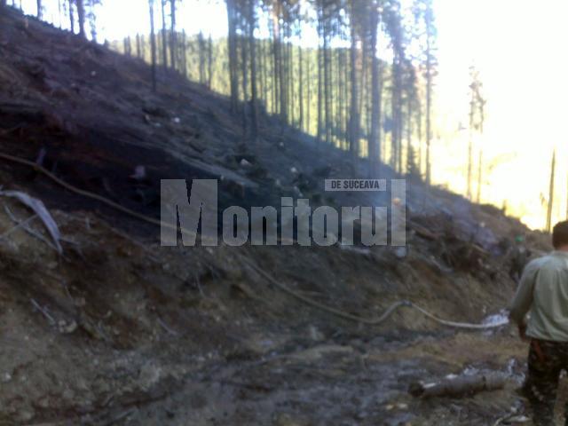 Zeci de cadre ale ISU Suceava şi Bistriţa-Năsăud au intervenit, sâmbătă, pentru stingerea unui incendiu izbucnit pe mai multe hectare cu resturi de exploatare forestieră