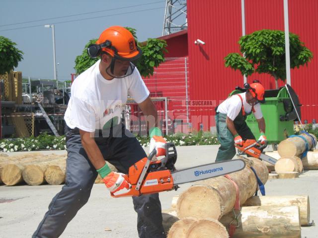 Concursul tăietorilor de lemne, în cadrul Expo Casa Ambient & Expomob Design