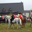 Caii din rasa Shagya arab, câştigătorii finalei Campionatului Naţional de Anduranţă
