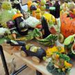 Copiii s-au întrecut în a realiza cele mai ingenioase sculpturi din fructe şi legume