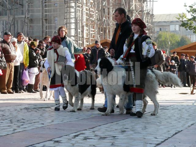 Pentru prima oară la Fălticeni a fost organizată şi o expoziţie canină