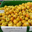 Peste zece soiuri de mere, expuse pentru comercializare