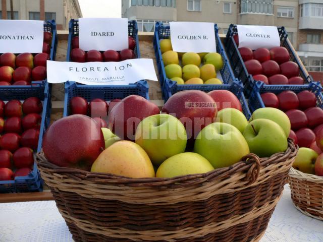 Peste zece soiuri de mere, expuse pentru comercializare