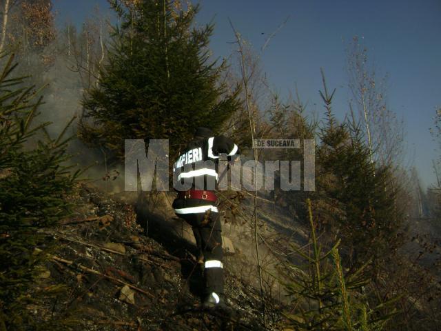 Cadrele ISU şi silvicultorii au reuşit să împiedice flăcările să ajungă la pădure